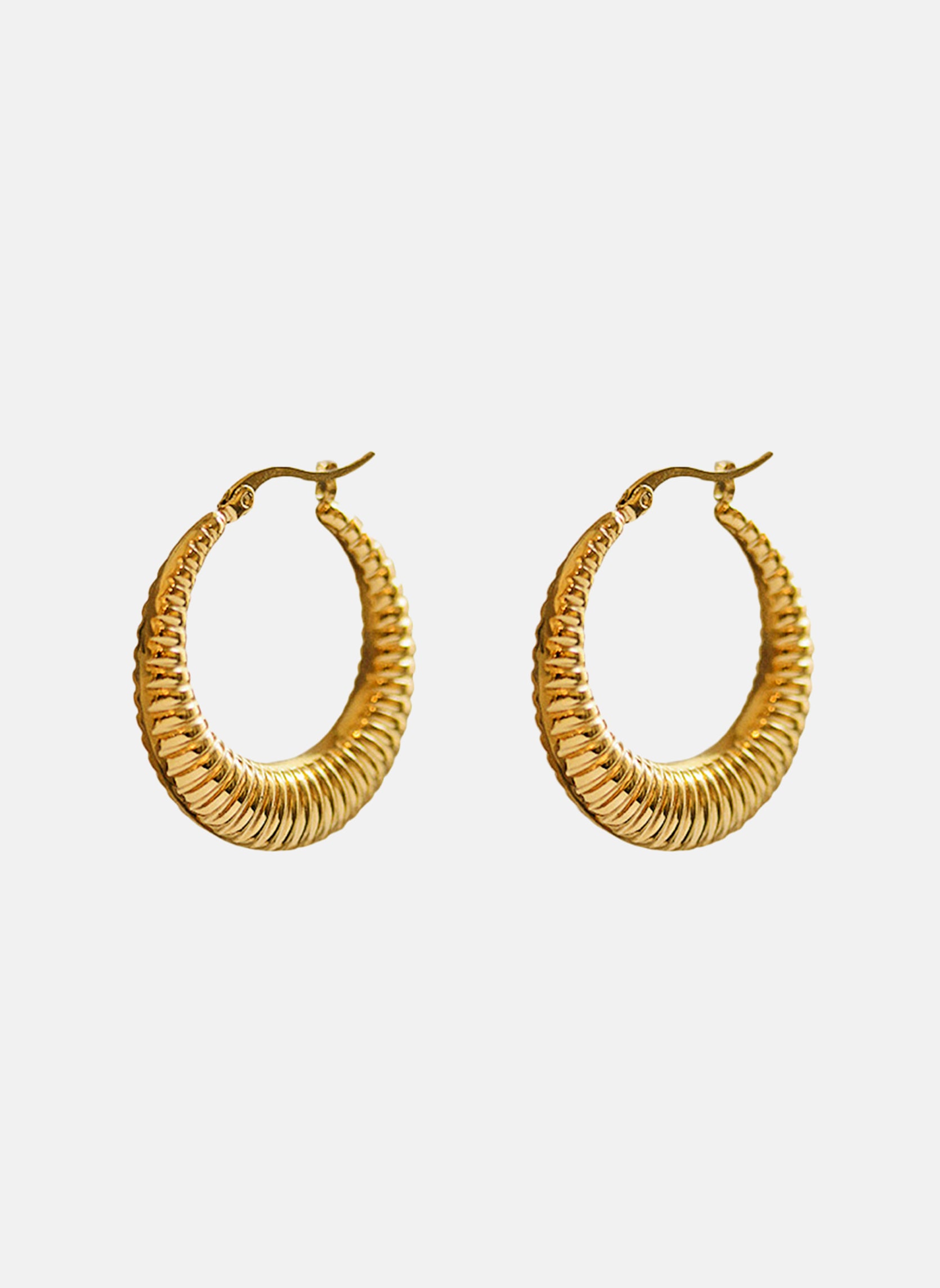 Hoops Alga